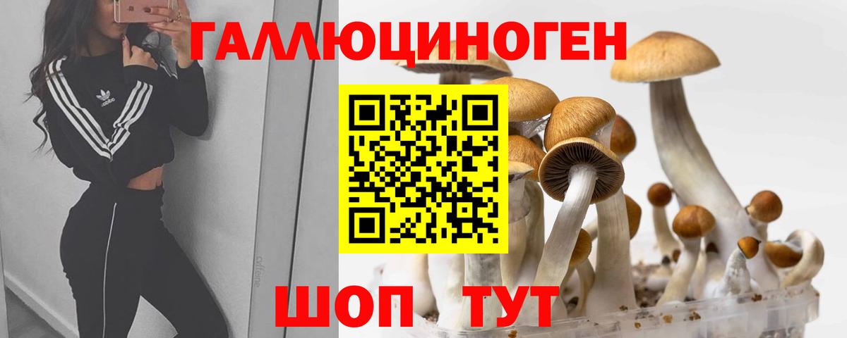 Алейск  Галлюциногенные грибы прущие грибы  Вход с VPN 